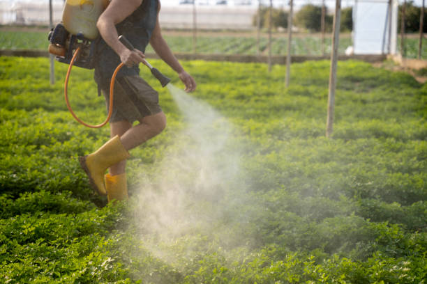 Best Pest Control for Homes  in Mount Union, PA