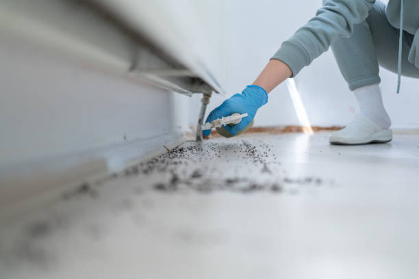 Bird Control in Mount Union, PA